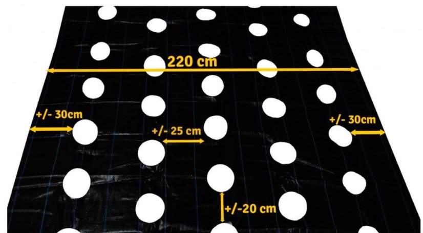 Agrotekstil s rupama 2,2x10m 90g/m2