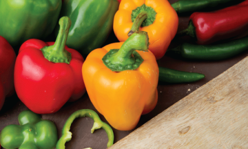 Ako pestovať papriku?