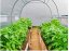 Solar de grădină 2x3m cu filtru UV STANDARD