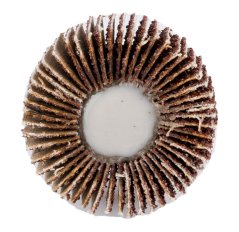 Laminiran disk 30 x 10 x 6 mm, P40 58T398