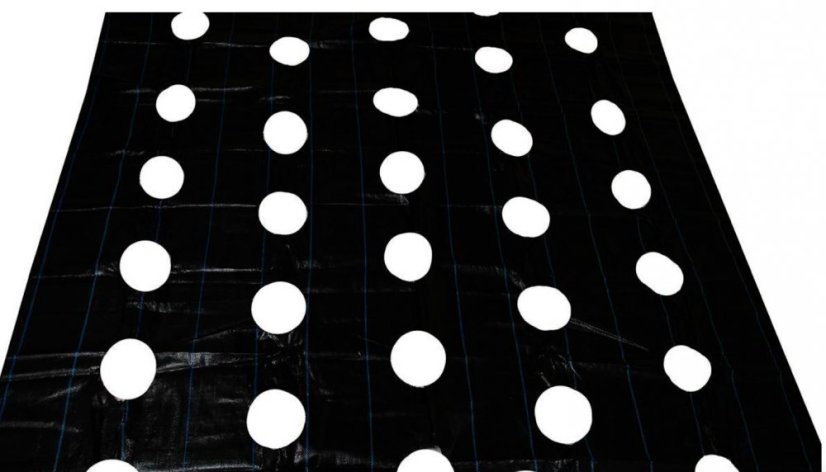 Agroszövet lyukakkal 2,2x10m 90g/m2