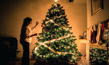 Vianočný stromček: Odkiaľ k nám prišiel?