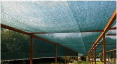 Stínící síť zelená 3x75m 60% stínu