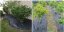 Agrotextil 1,1x100m 90 g/m2