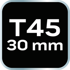 Končni pokrovček TORX T45 x 30 mm, S2 x 2 kosa 10-924