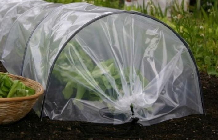 Foliengewächshaus Tunnel 0,5x10m Garden