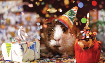 Aký darček kúpiť mužovi: Poradíme, vyberieme