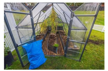 Cum să igienizezi serele și solul la final de an?