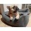 Pelíšek pro psa 130x100cm Grey Honey XXL