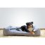 Pelíšek pro psa 130x100cm Grey Honey XXL