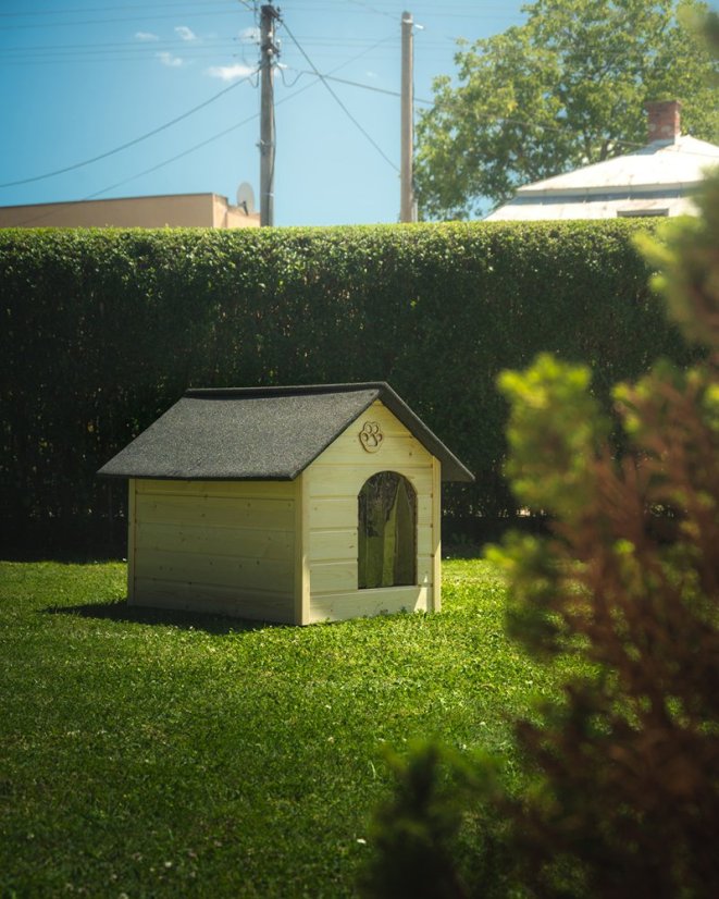 Hundehütte Eddy XL