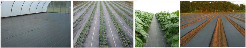 Agrotextilie 1,6 x 50 m – 70 g/m²